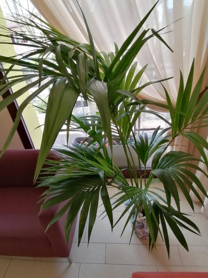 Hotel Abel & Residence Cesenatico Zewnętrze zdjęcie